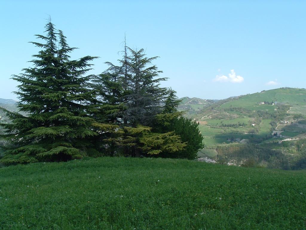 Agriturismo Campo Rosso Civitella di Romagna Exterior photo