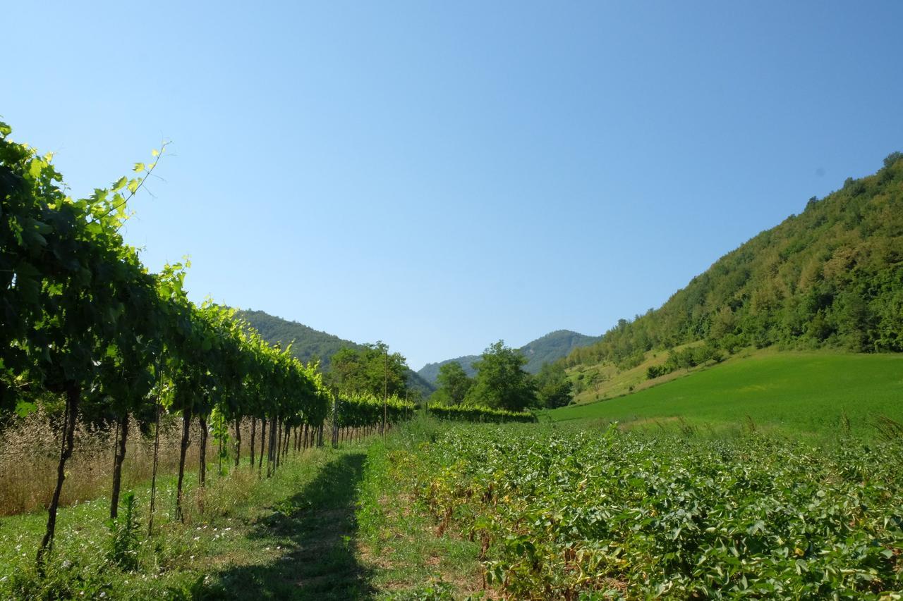 Agriturismo Campo Rosso Civitella di Romagna Exterior photo
